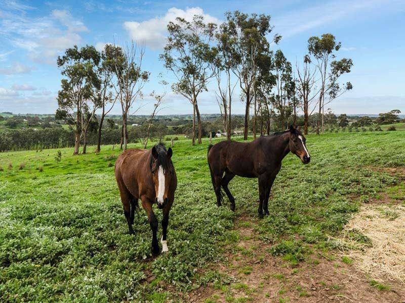 247 Little Dublin Road (off Summit Rd), Nairne SA 5252