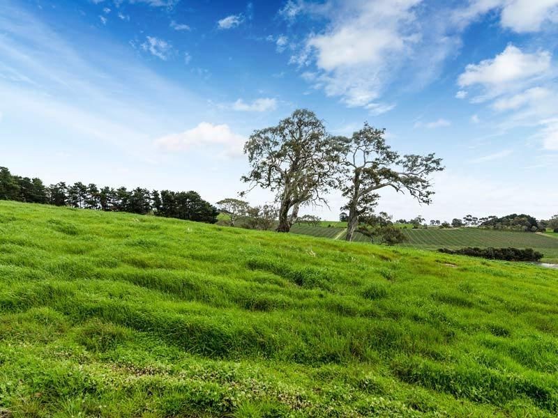 247 Little Dublin Road (off Summit Rd), Nairne SA 5252