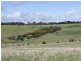 47/ Archer Hill Road via Long Valley Road, Wistow SA 5251