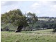 47/ Archer Hill Road via Long Valley Road, Wistow SA 5251