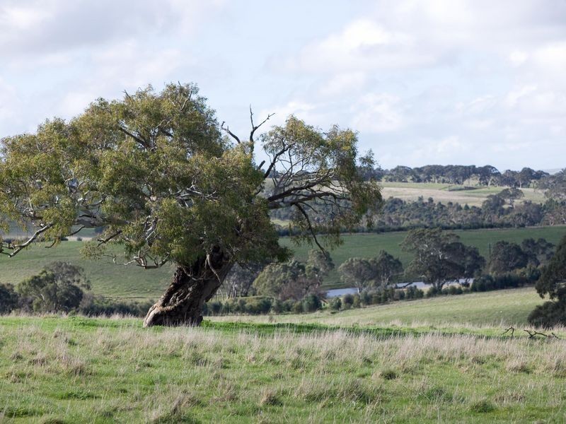 47/ Archer Hill Road via Long Valley Road, Wistow SA 5251