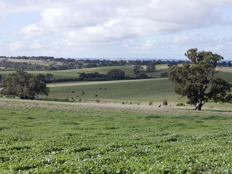 47/ Archer Hill Road via Long Valley Road, Wistow SA 5251