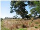 31 Claret Ash Drive, Mount Barker SA 5251