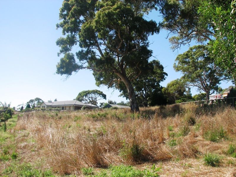 31 Claret Ash Drive, Mount Barker SA 5251