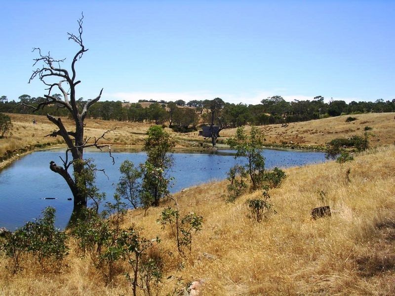 961/ Thring Lane (off Wellington Rd), Wistow SA 5251