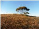 520/ Marina Way, Mannum SA 5238