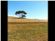 520/ Marina Way, Mannum SA 5238