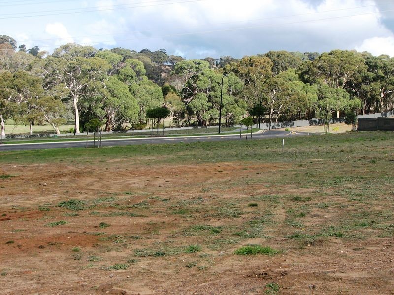 11 Saunders Close, Mount Barker SA 5251