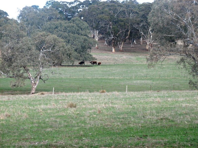 11 Saunders Close, Mount Barker SA 5251