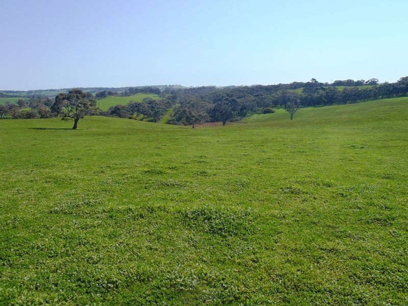 201/ Tarrawatta Road, Mount Barker SA 5251