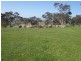 201/ Tarrawatta Road, Mount Barker SA 5251