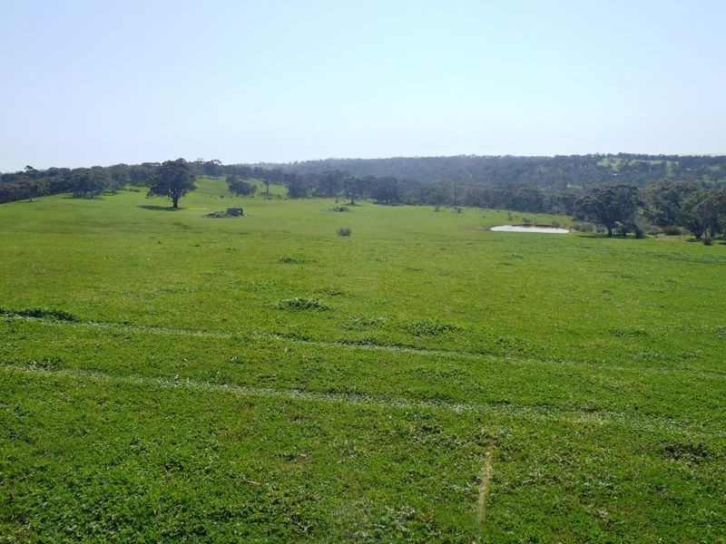 201/ Tarrawatta Road, Mount Barker SA 5251