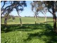 201/ Tarrawatta Road, Mount Barker SA 5251