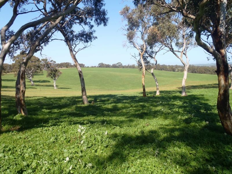 201/ Tarrawatta Road, Mount Barker SA 5251