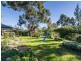 8 Acacia Street, Mount Barker SA 5251