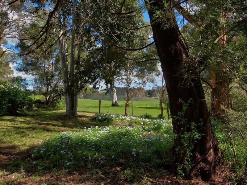 37 Jones Road, Balhannah SA 5242