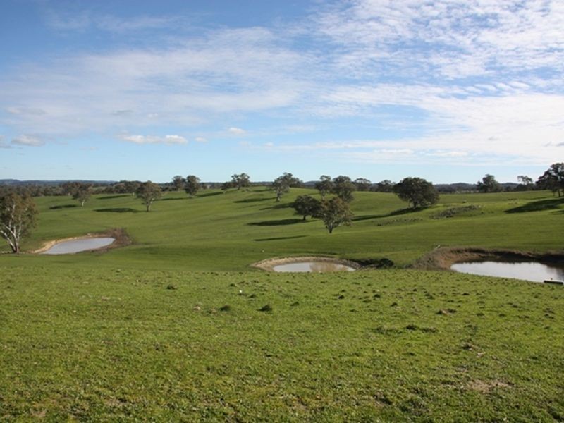 103 Carnells Boundary Road, Birdwood SA 5234