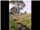 Section 1383/ Wiles Fire Track, Wistow SA 5251
