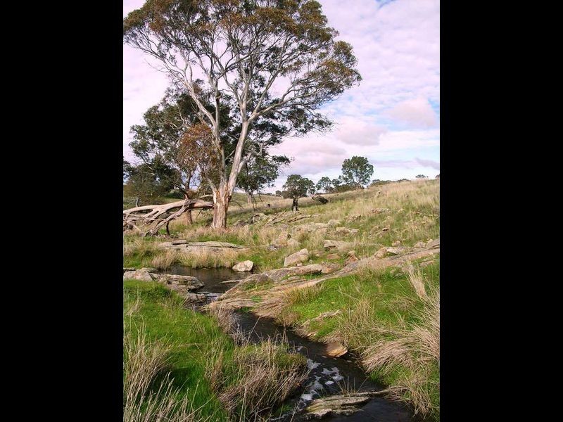 Section 1383/ Wiles Fire Track, Wistow SA 5251