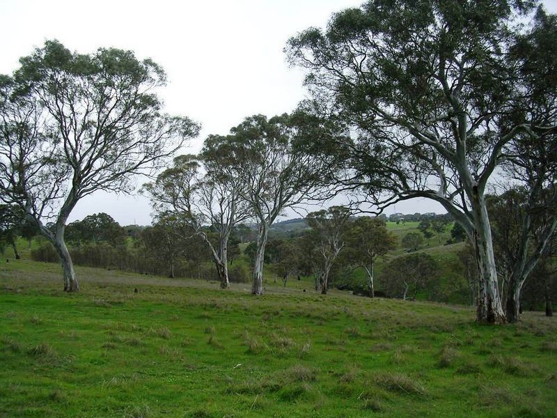 Section 1383/ Wiles Fire Track, Wistow SA 5251