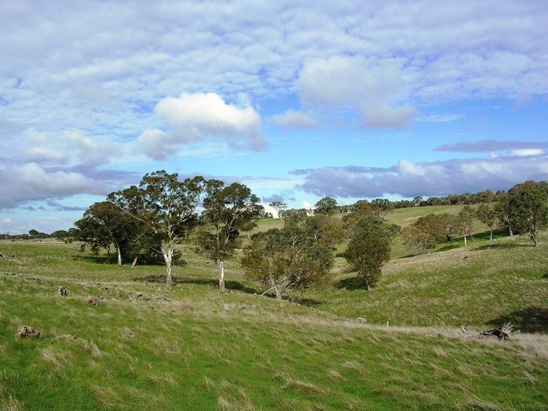 Section 1383/ Wiles Fire Track, Wistow SA 5251