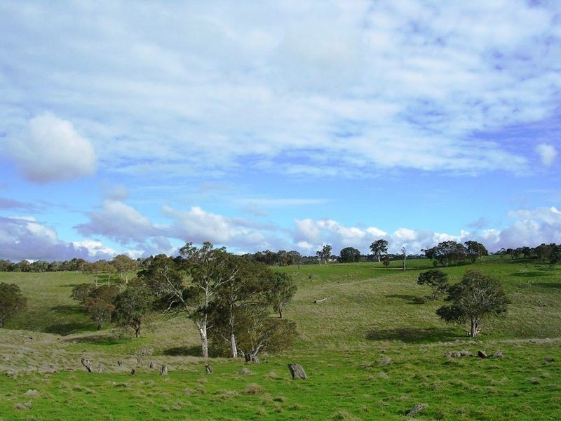 Section 1383/ Wiles Fire Track, Wistow SA 5251