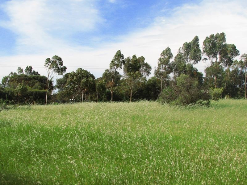 17 Baker Street, Callington SA 5254