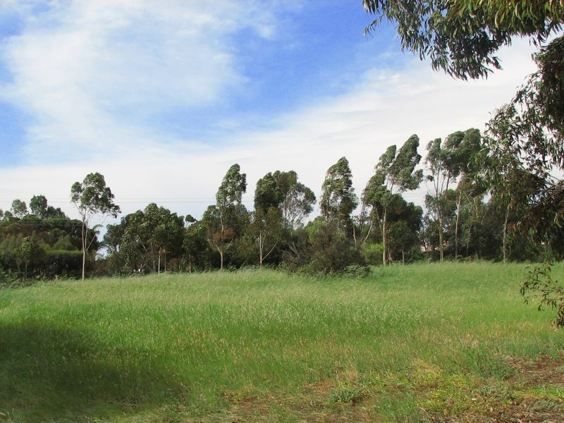 17 Baker Street, Callington SA 5254