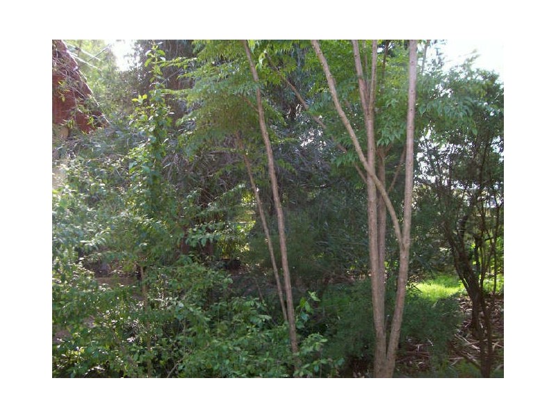 27 Laird Street, Mount Gambier SA 5290