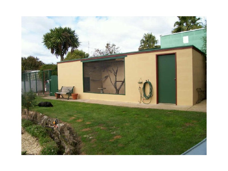 24 Boandik Terrace, Mount Gambier SA 5290