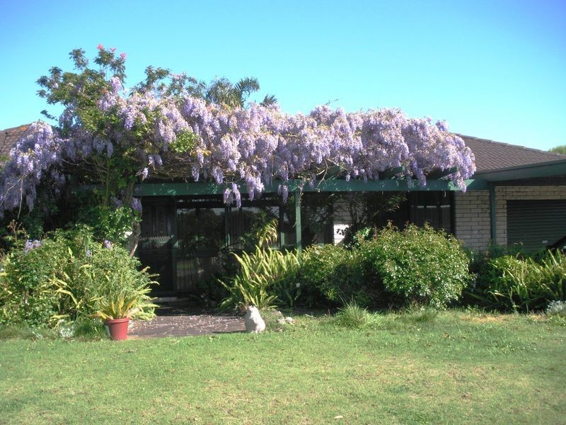 19 Betula Road, Mount Gambier SA 5290