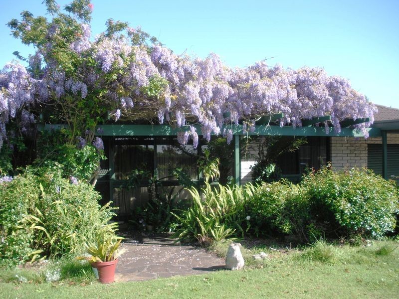 19 Betula Road, Mount Gambier SA 5290