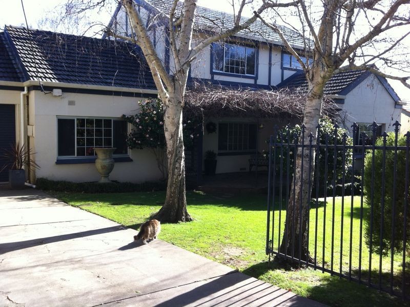 96 Crouch Street South, Mount Gambier SA 5290