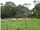 24202 Princes Highway, Greenways SA 5272