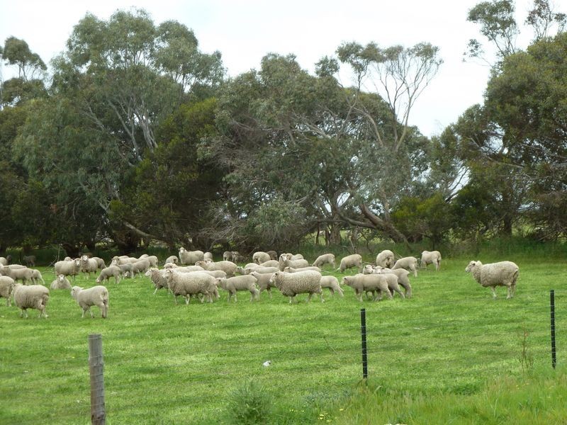 24202 Princes Highway, Greenways SA 5272