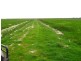 24202 Princes Highway, Greenways SA 5272