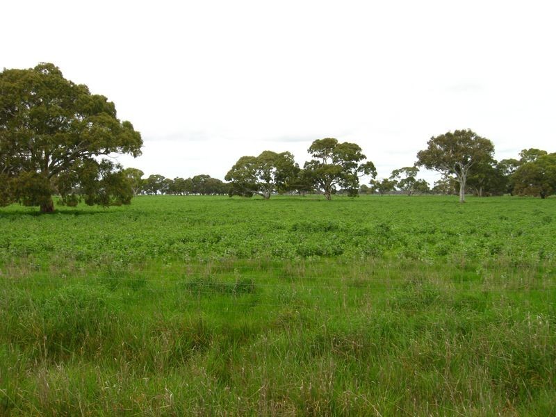 24202 Princes Highway, Greenways SA 5272