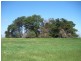 Agricultural Bureau Drive, Tantanoola SA 5280