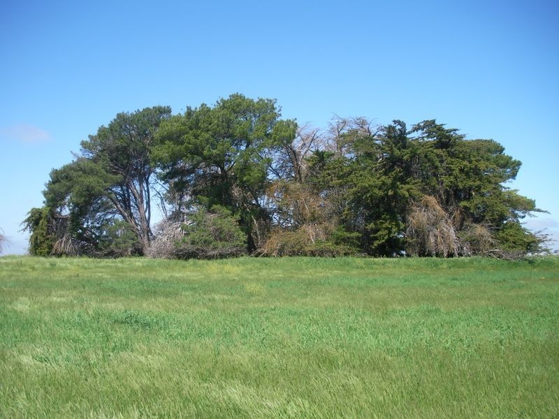 Agricultural Bureau Drive, Tantanoola SA 5280