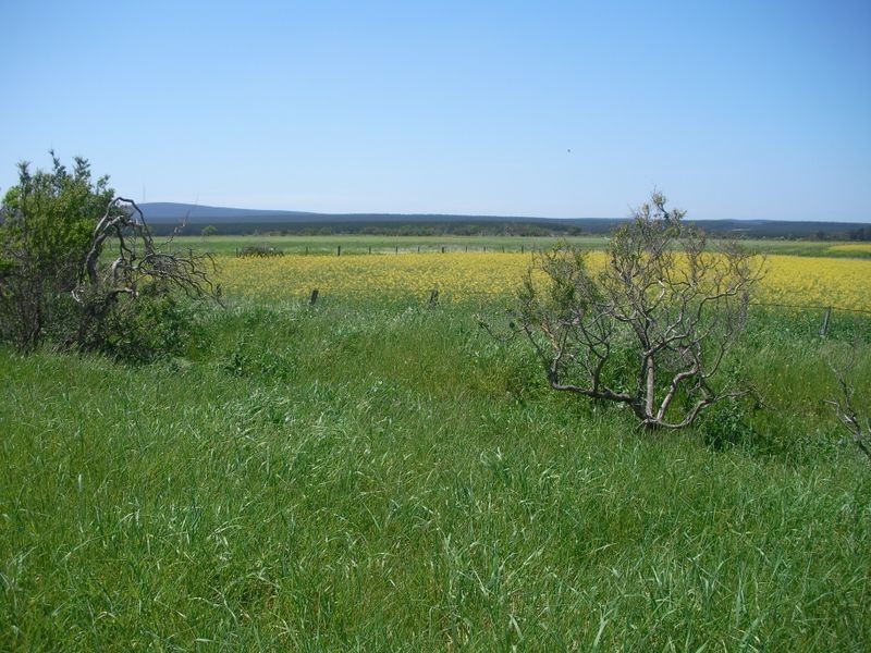Agricultural Bureau Drive, Tantanoola SA 5280