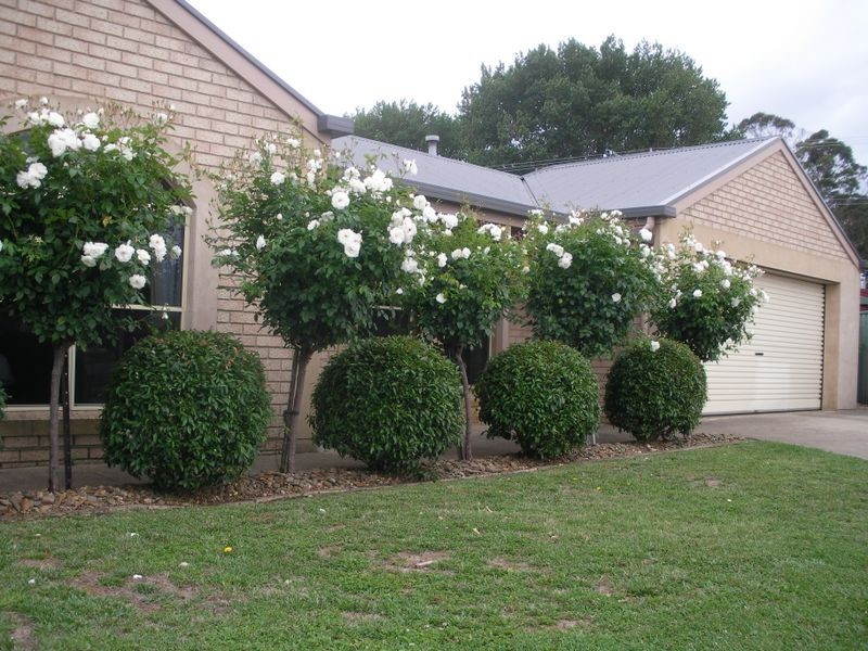 34 Hastings Avenue, Mount Gambier SA 5290