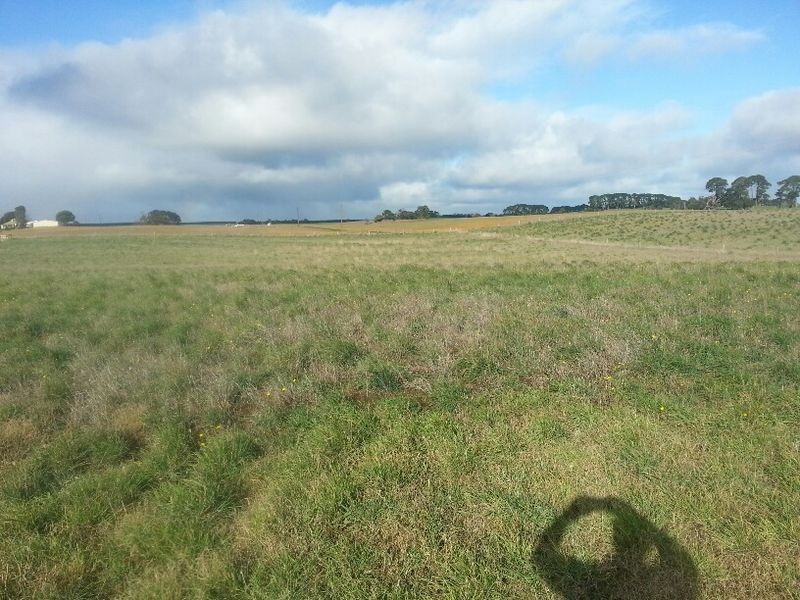 Rex Wells Court, Mil Lel SA 5291