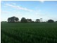 Hookings Road, Tantanoola SA 5280