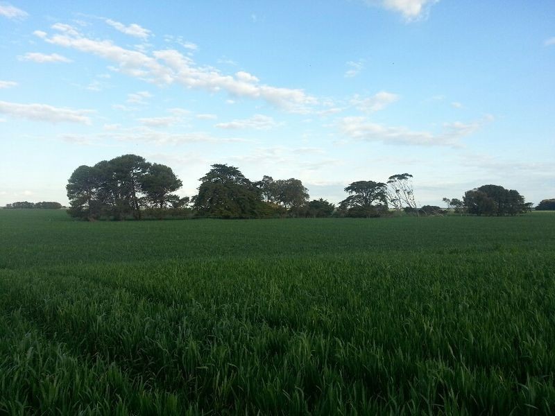 Hookings Road, Tantanoola SA 5280