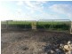 Hookings Road, Tantanoola SA 5280