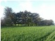 Hookings Road, Tantanoola SA 5280