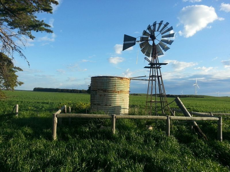 Hookings Road, Tantanoola SA 5280