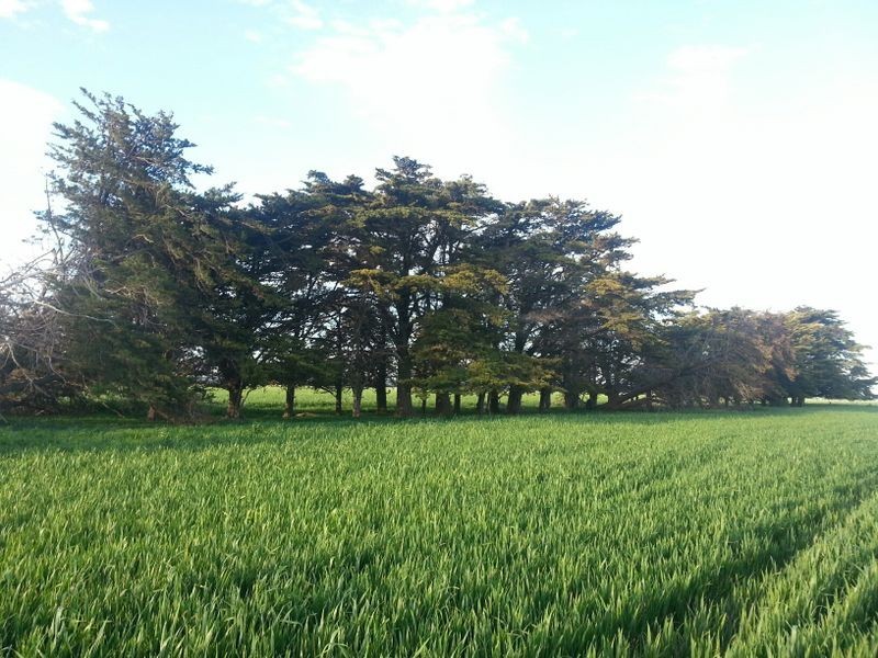 Hookings Road, Tantanoola SA 5280
