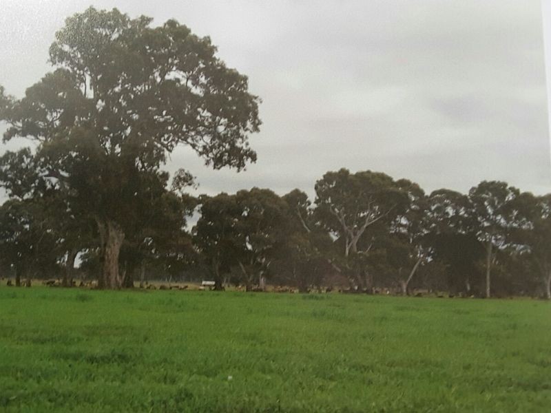 17150 Riddoch Highway, Penola SA 5277