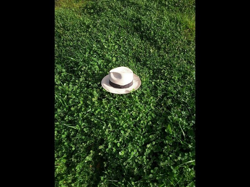 17150 Riddoch Highway, Penola SA 5277